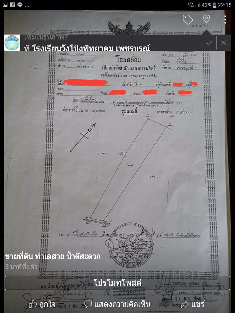 ขายที่ดิน-เป็นที่นา-ทางถนนคอนกรีตทั้งหัวนาและท้ายนา