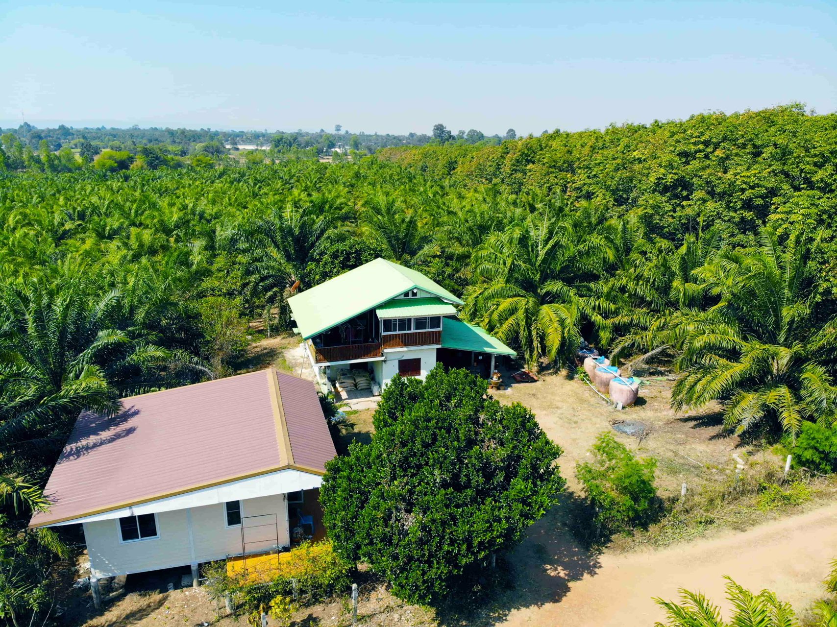 บ้านสวนบรรยากาศดี-พร้อมสวนปาล์มเต็มพื้นที่-โฉนด-50-ไร่