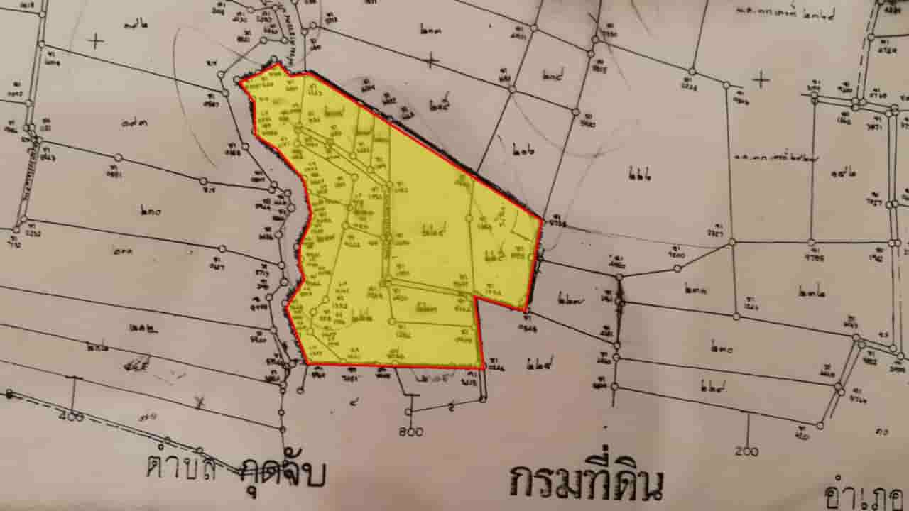 บ้านสวนบรรยากาศดี-พร้อมสวนปาล์มเต็มพื้นที่-โฉนด-50-ไร่