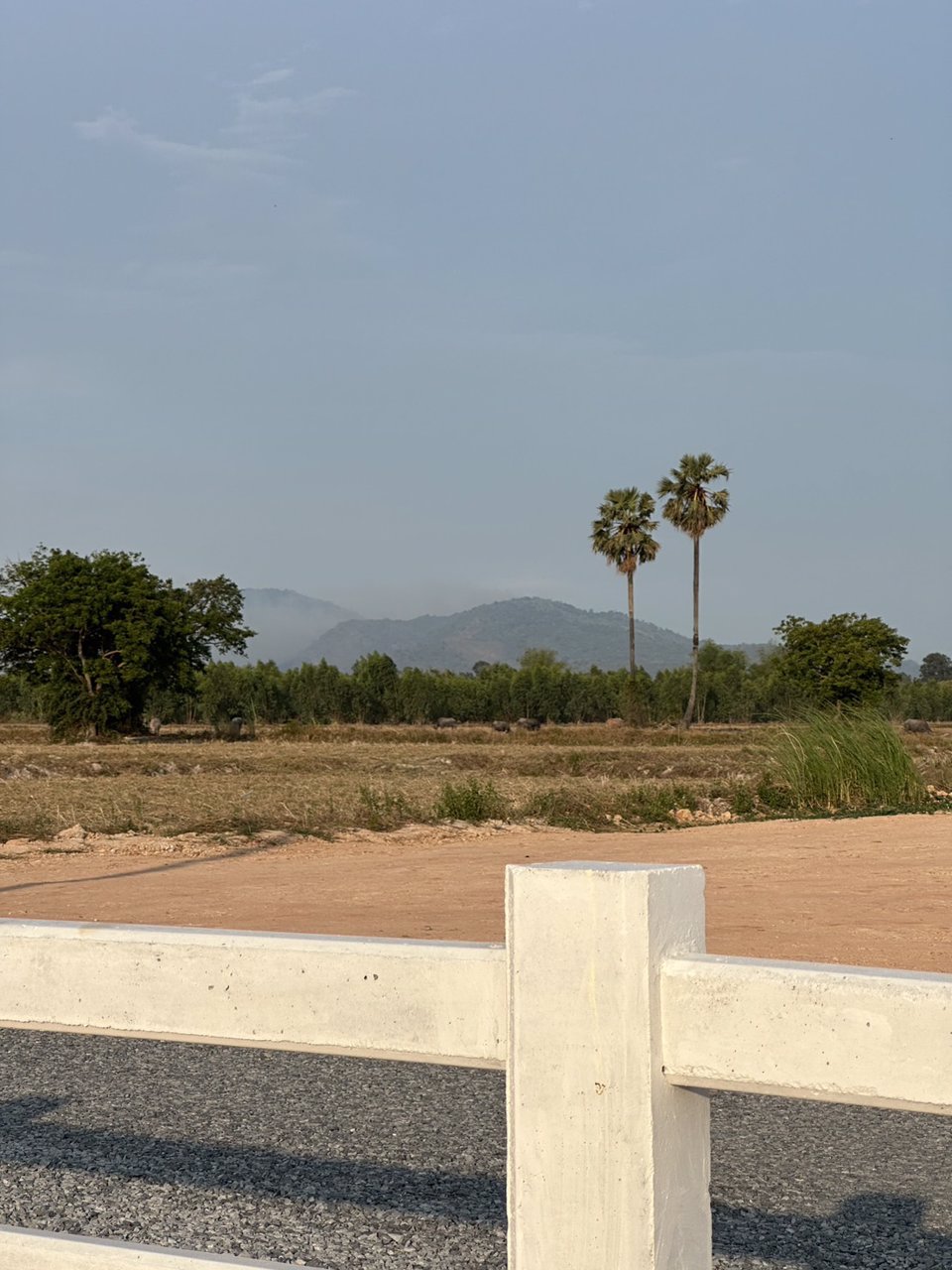 ที่ดิน-โครงการ-คลองเรือ-วิหารแดง-สระบุรี