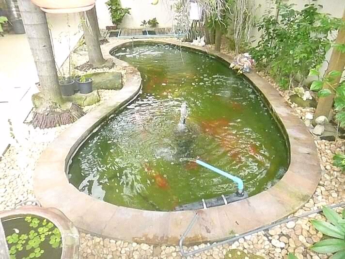 ขายด่วน-บ้านเดี่ยว-พุทธมณฑลสาย-1