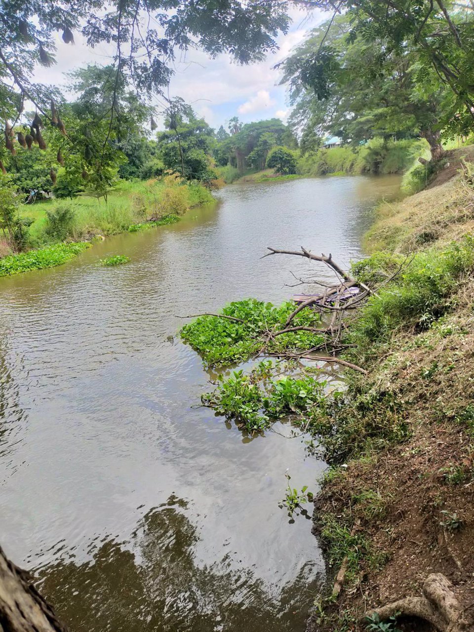 ขายที่ดินสวยติดแม่น้ำลพบุรี-อำเภอบางปะหัน-จังหวัดอยุธยา