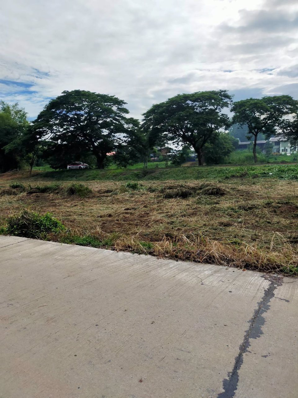 ขายที่ดินสวยติดแม่น้ำลพบุรี-อำเภอบางปะหัน-จังหวัดอยุธยา