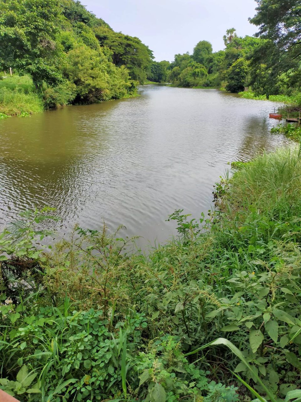 ขายที่ดินสวยติดแม่น้ำลพบุรี-อำเภอบางปะหัน-จังหวัดอยุธยา