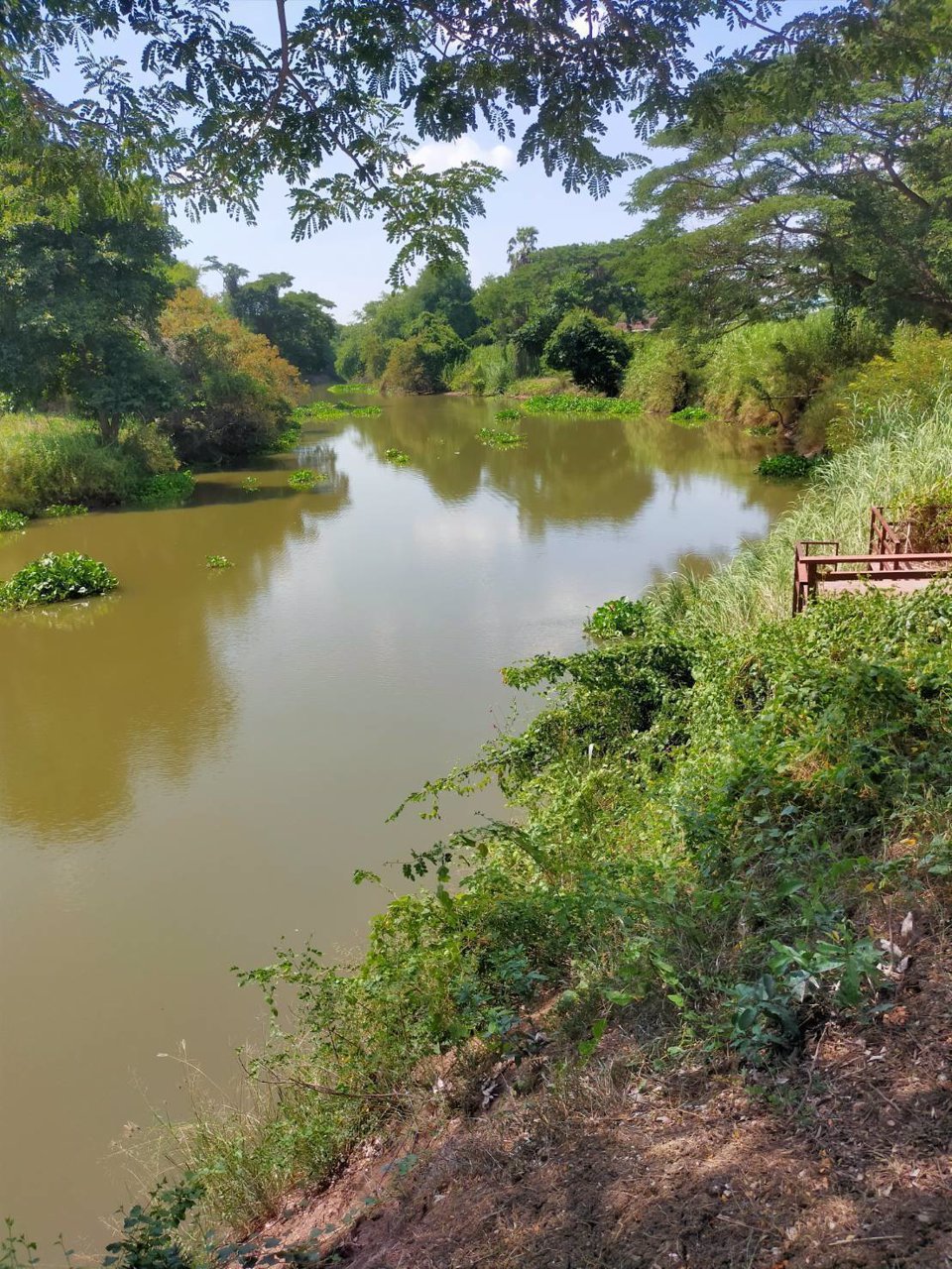 ขายที่ดินสวยติดแม่น้ำลพบุรี-อำเภอบางปะหัน-จังหวัดอยุธยา