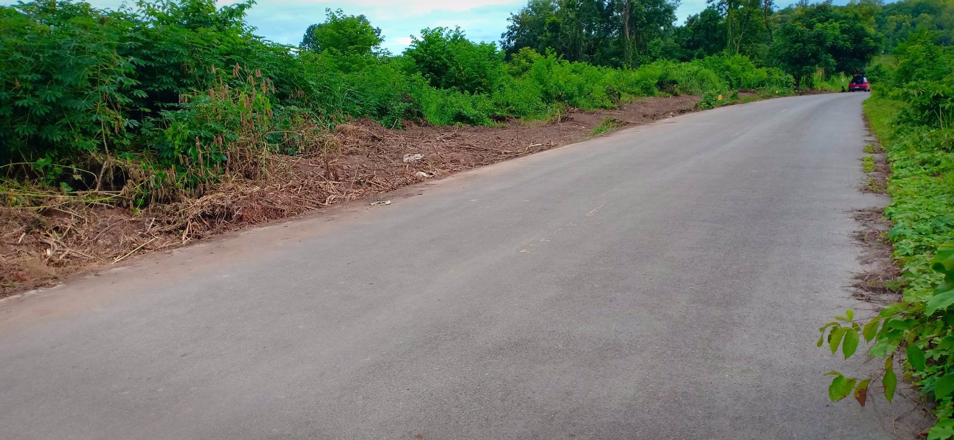 ขายที่ดิน-8ไร่-3งาน-21ตรว