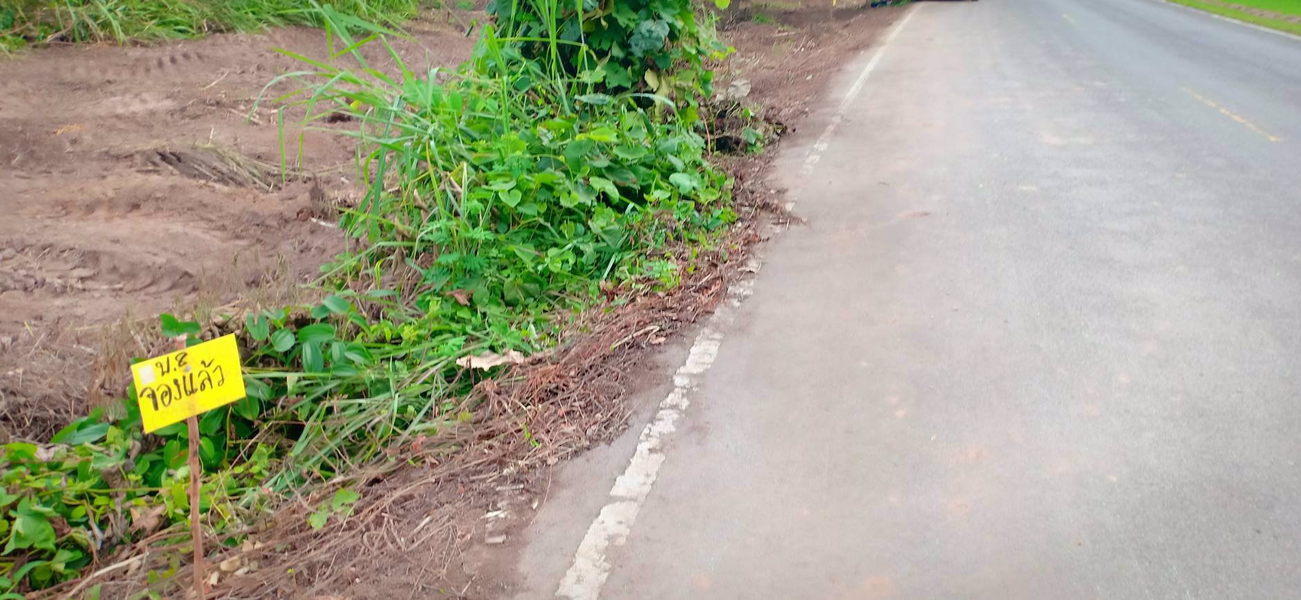 ขายที่ดิน-8ไร่-3งาน-21ตรว