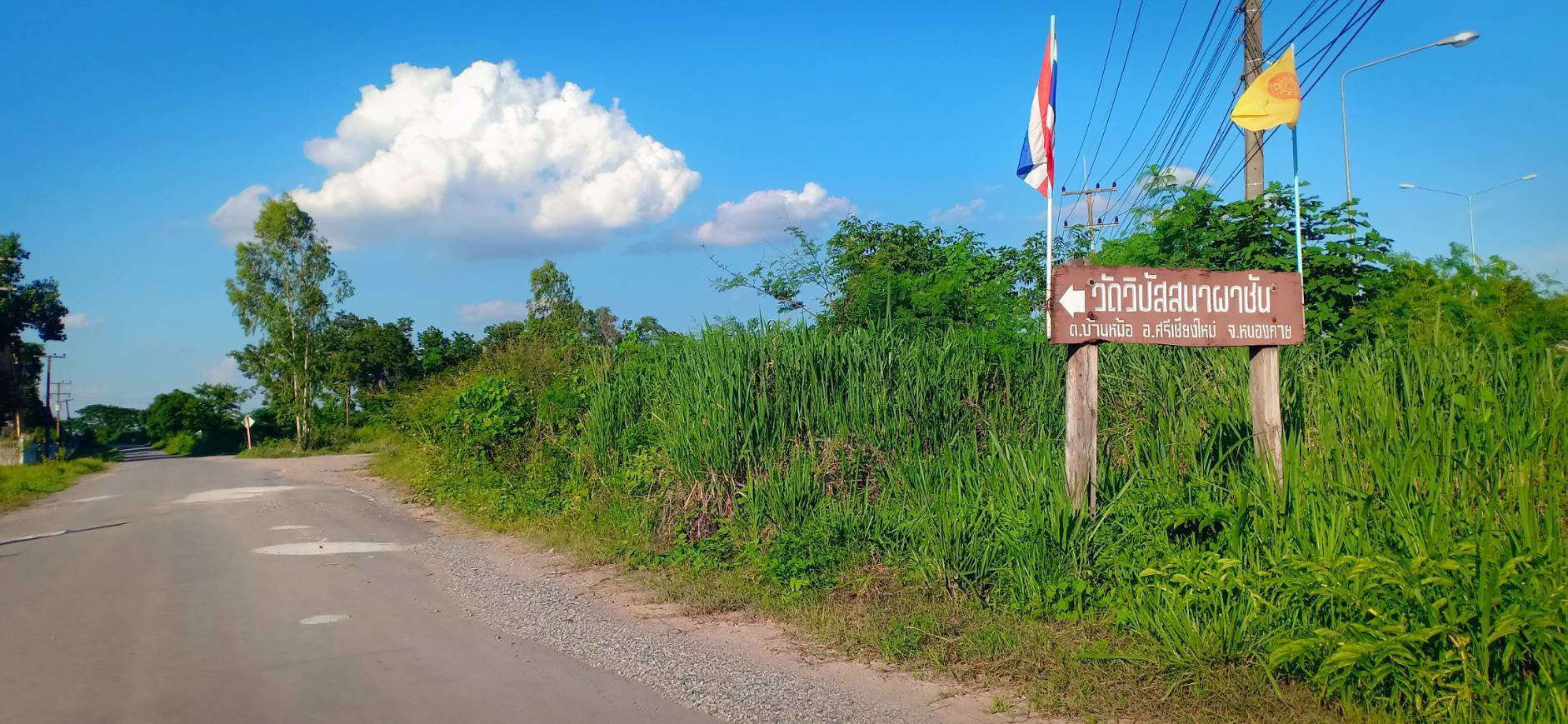 ขายที่ดิน-8ไร่-3งาน-21ตรว