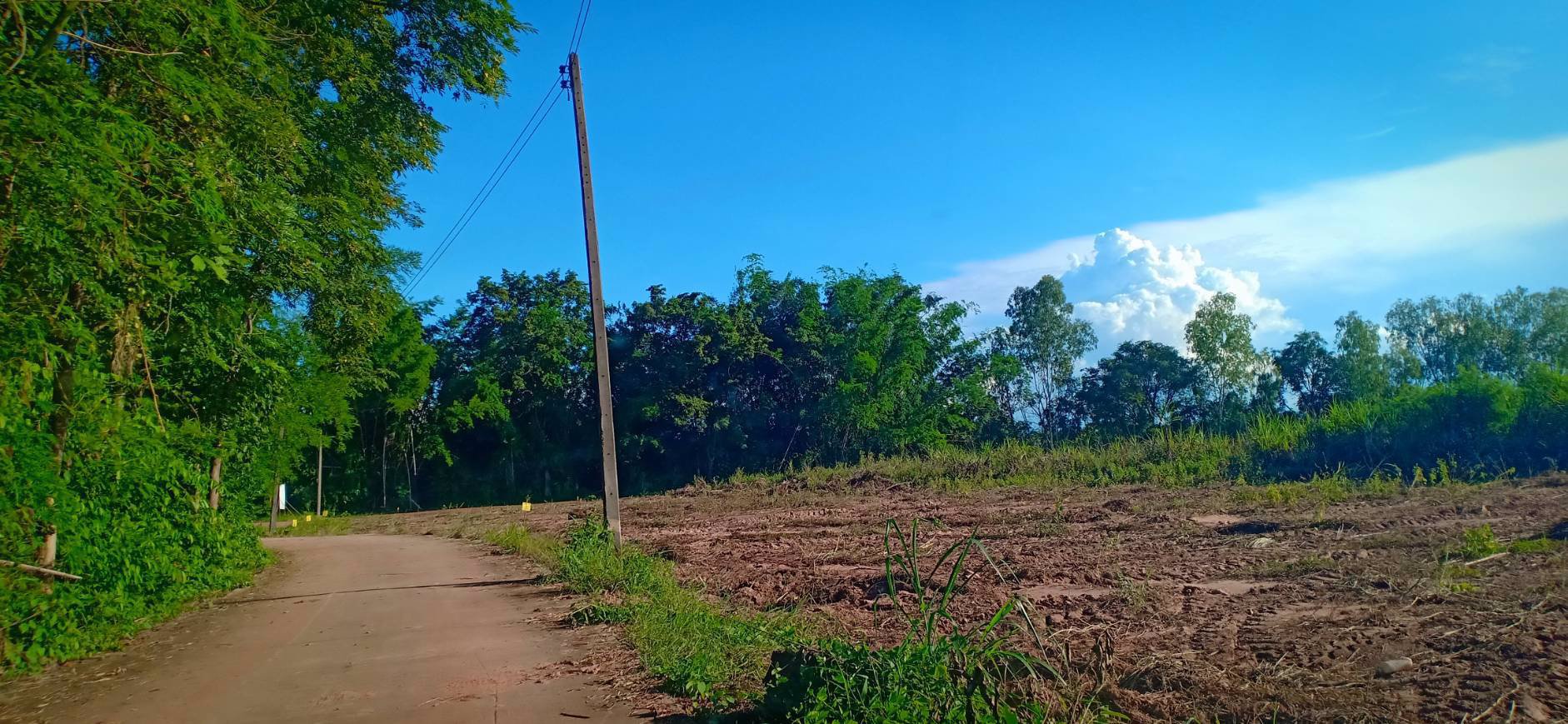 ขายที่ดินเนื้อที่-8-ไร่-80-ตารางวา