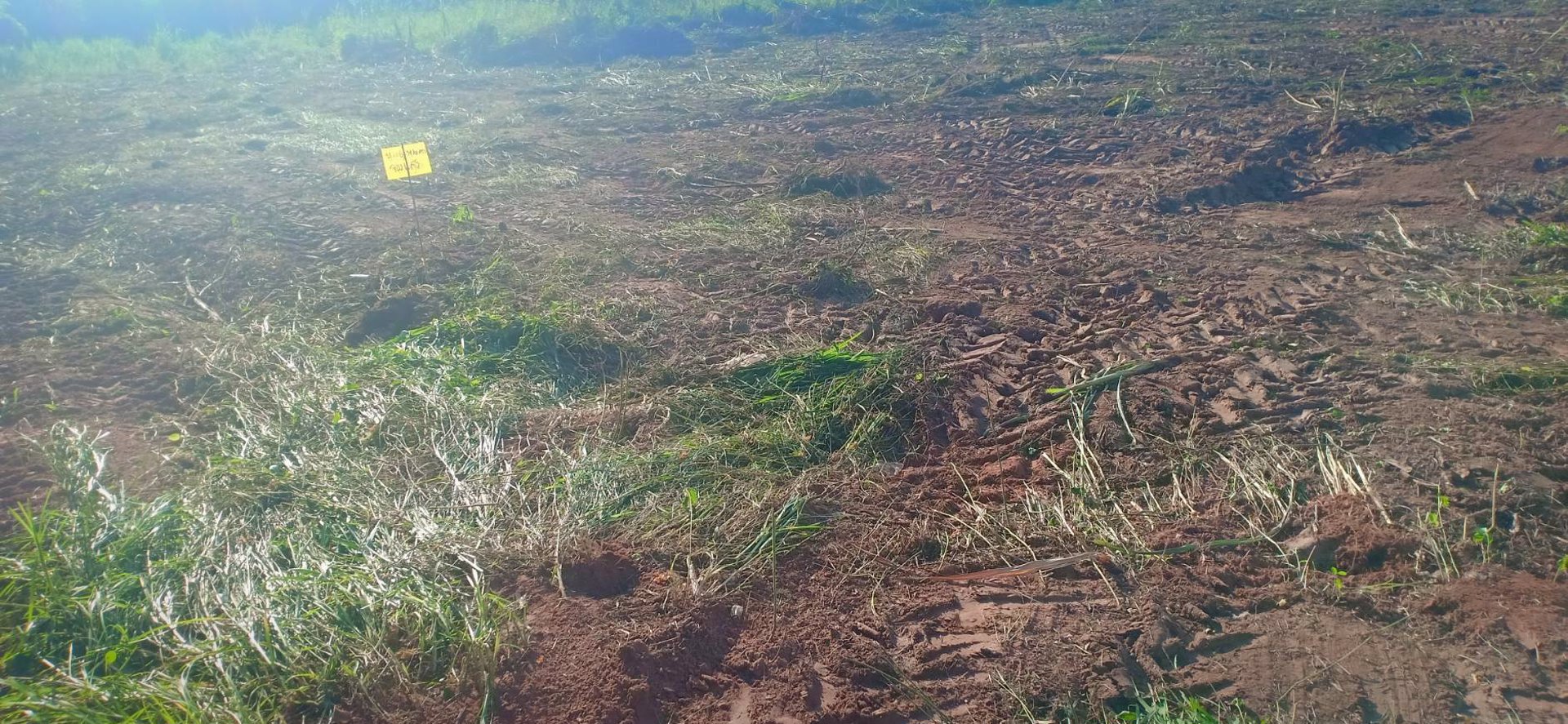 ขายที่ดินเนื้อที่-8-ไร่-80-ตารางวา