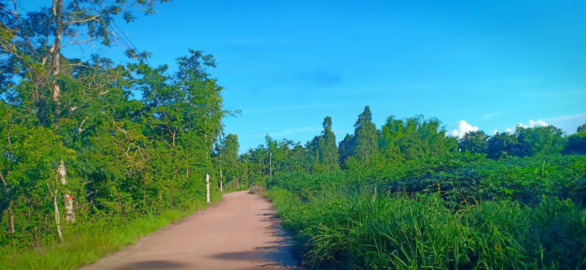 ขายที่ดินเนื้อที่-8-ไร่-80-ตารางวา