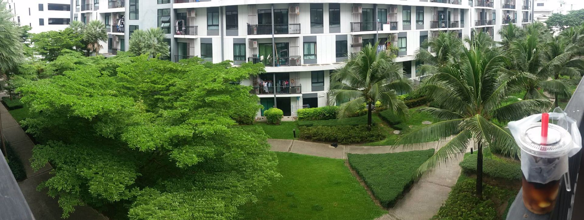 ให้เช่า-ไอคอนโด-สุขุมวิท-105-1-ห้องนอน-1-ห้องน้ำ-ห้องชั้น-4-6500-บ-ด