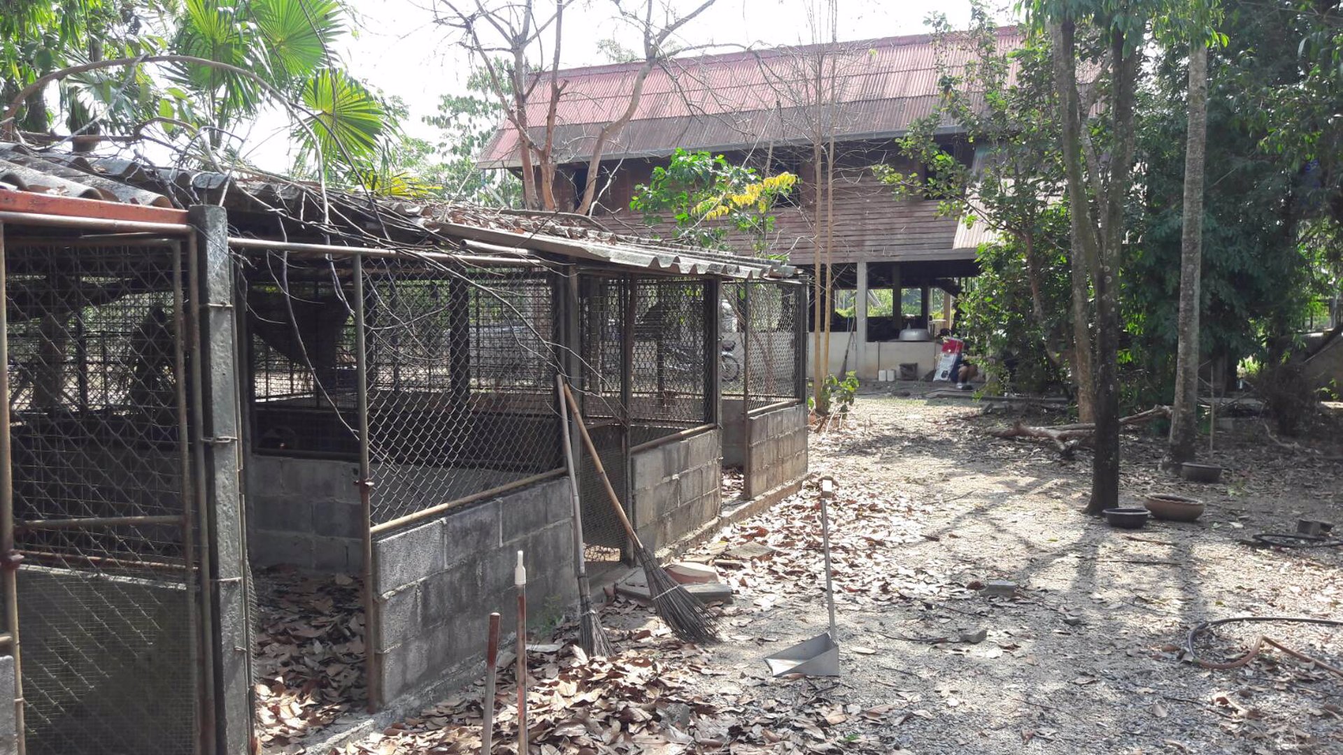 ขายที่ดิน-ราคาไม่แพง-ไร่ละ-75-แสน-โฉนดครุฑแดง