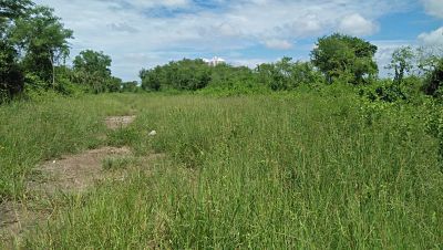 large-land-very-good-area-for-doing-business-and-big-project-and-near-bang-pa-kong-river-just-60-m