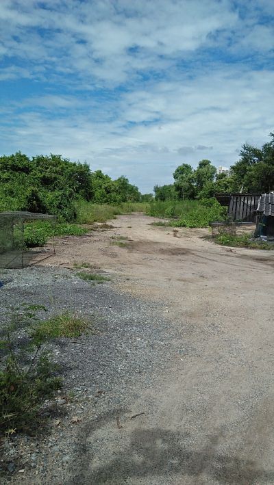 ขายที่ดินเปล่า-แปลงใหญ่มาก-ทำเลทองสุดๆ-วิวแม่น้ำบางปะกง-ห่างไป60-ม