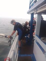 land-area-1205-sqwah-or-about-4820-sqm-no-sea-view-very-greenery-and-peacefully-chumphon