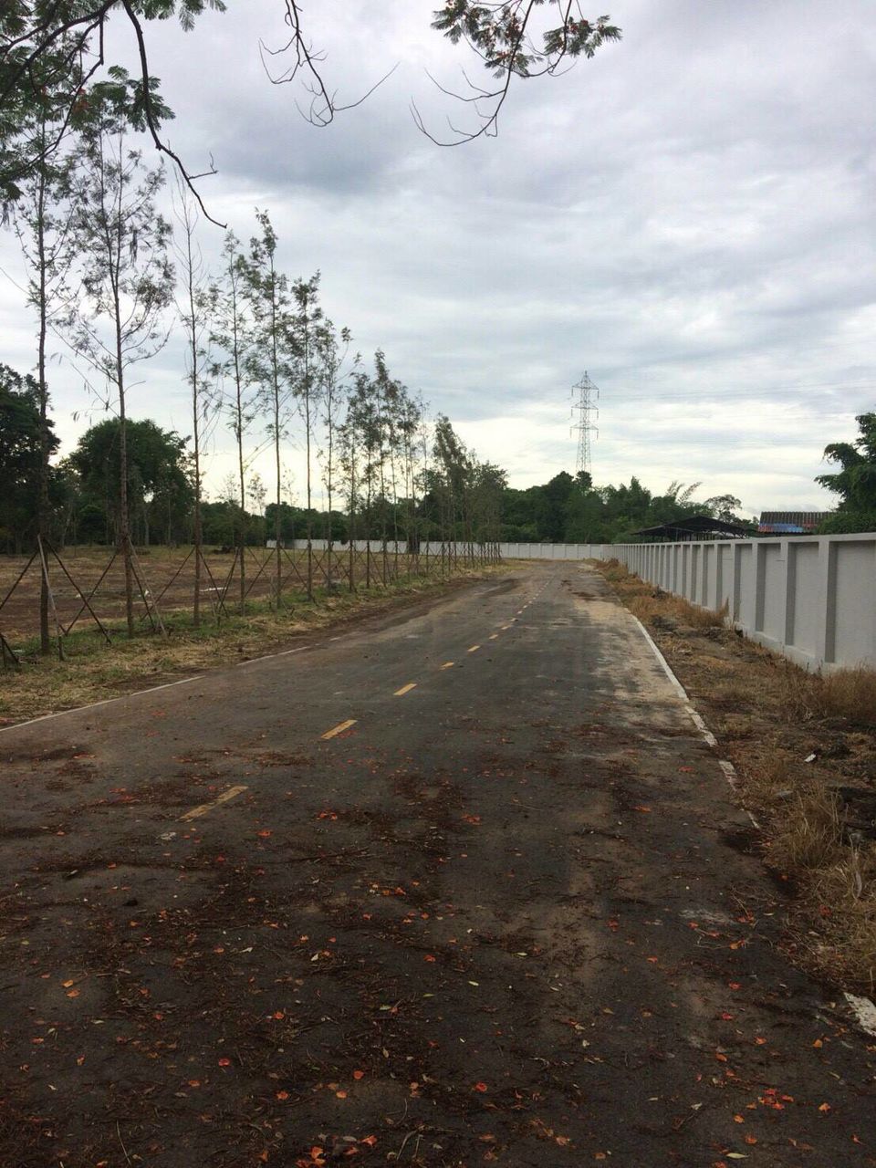 ถ้าคุณกำลังมองหาที่ดินทำเลดีๆสักแปลง-บนเนื้อที่ดิน-6945-ตรว-สวนติดลำธารล้อมรอบที่ดิน-ปากช่อง-โฉนด