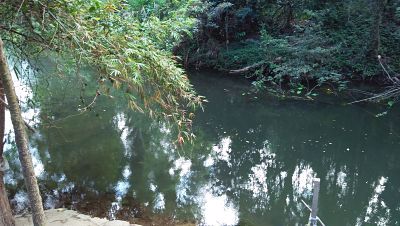 ถ้าคุณกำลังมองหาที่ดินทำเลดีๆสักแปลง-บนเนื้อที่ดิน-6945-ตรว-สวนติดลำธารล้อมรอบที่ดิน-ปากช่อง-โฉนด