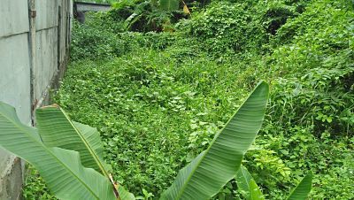 rent-land-small-area-404-sqm-closed-road-in-the-soi-sukhumvit-71