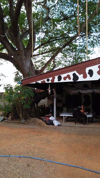 ถ้าคุณกำลังมองหาที่ดินทำเลดีๆสักแปลง-สวนผลไม้แปลงใหญ่-ติดลำธารล้อมรอบที่ดิน-โฉนดถูกต้อง