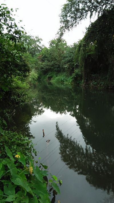 ถ้าคุณกำลังมองหาที่ดินทำเลดีๆสักแปลง-สวนผลไม้แปลงใหญ่-ติดลำธารล้อมรอบที่ดิน-โฉนดถูกต้อง