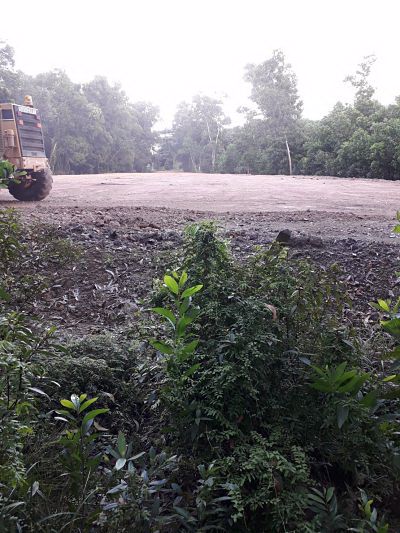 ขายที่ดิน-ใกล้ทะเลมากๆ-ไม่ติดทะเล-3-ไร่-โฉนด-หาดทุ่งวัวแล่น-สวยมากๆค่ะ