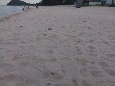 ขายที่ดิน-ใกล้ทะเลมากๆ-ไม่ติดทะเล-3-ไร่-โฉนด-หาดทุ่งวัวแล่น-สวยมากๆค่ะ