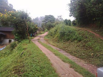 lease-land-on-the-top-mountain-view-called-doi-with-wooden-house-home-stay-can-go-pai-samuang-rou