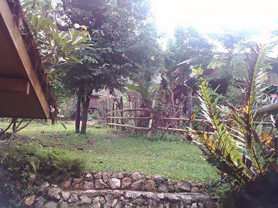 lease-land-on-the-top-mountain-view-called-doi-with-wooden-house-home-stay-can-go-pai-samuang-rou