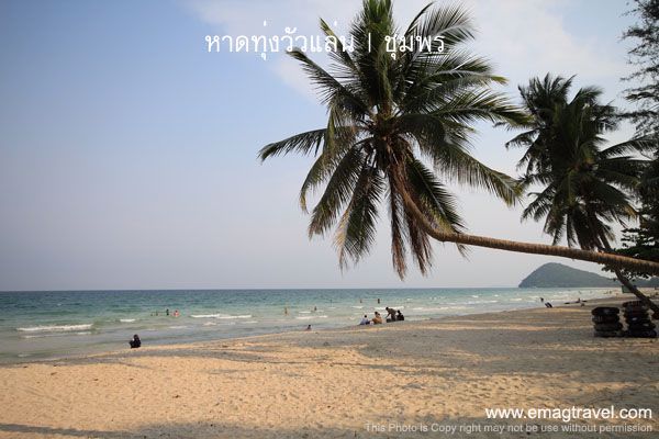 sale-nice-land-for-villa-or-adapt-will-be-guest-house-near-beach-just-150-m-about-3-rais-chanote