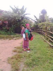 ขายบ้านโฮมสเตย์-ขนาดเล็กๆ-สวยมากๆ-ดอยสูง-ป่าลึกบนดอย-เชียงใหม่-อกัลยาณิวัฒนา-ไปได้เส้นปาย-เส้นสะเม