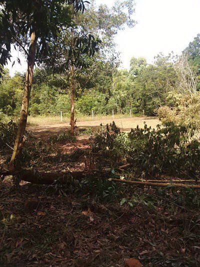 ขายที่ดิน-สวยมากๆ-ใกล้ทะเล-สองแปลงคู่ขายพร้อมโฉนด-หาดทุ่งวัวแล่นบีชที่สุดชุมพร