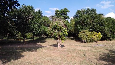 sale-land-with-big-farm-river-surrounded-chanote-pak-chong