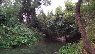 sale-land-with-big-farm-river-surrounded-chanote-pak-chong