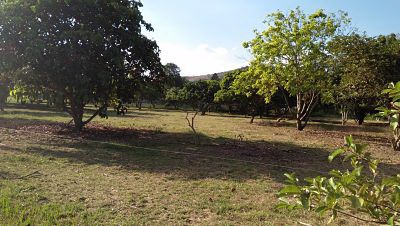 sale-land-with-big-farm-river-surrounded-chanote-pak-chong