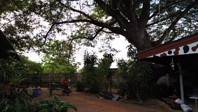 sale-land-with-big-farm-river-surrounded-chanote-pak-chong