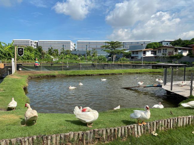 condo-for-sale-near-bts-on-nut-lower-than-the-appraised-price-blocs77-on-nut-sukhumvit-77-sansiri's