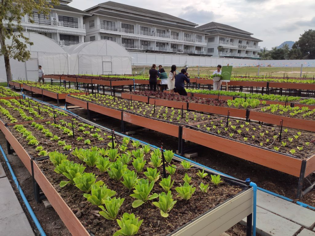 condo-for-sale-near-bts-on-nut-lower-than-the-appraised-price-blocs77-on-nut-sukhumvit-77-sansiri's