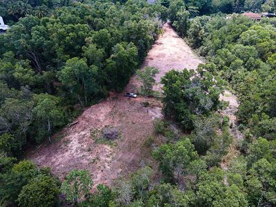 land-for-sale-1-rai-to-build-a-small-private-house-not-far-from-the-sea-chumphon