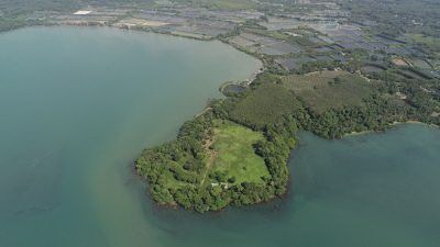 private-island-for-sale-so-big-plot-of-land-37-rais-sea-view-ที่ดินบนเกาะแวดล้อมทะเลล้อมรอบแปลงใหญ่