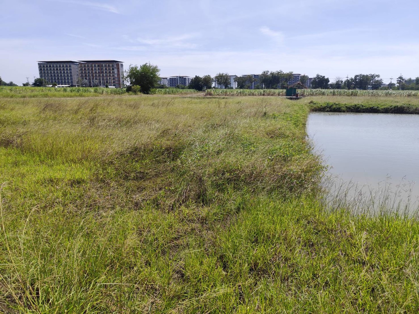 ขายที่ดินเปล่า-แปลง-1-9-ไร่แปลงสวย-แบ่งได้-ที่ใกล้หอพัก-นกฮูกเก้า-ม-เกษตร-กำแพงแสน-นครปฐม