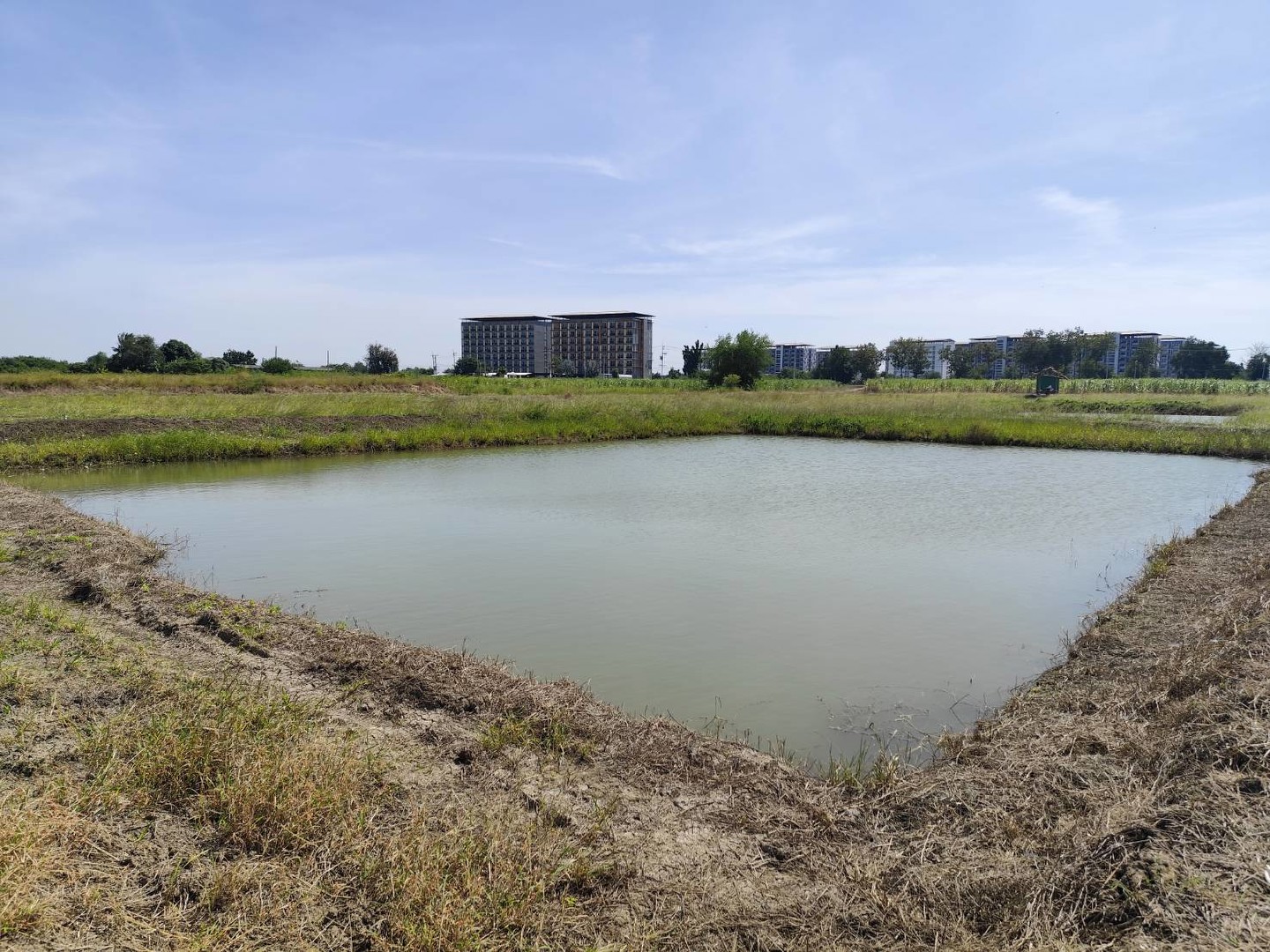 ขายที่ดินเปล่า-แปลง-1-9-ไร่แปลงสวย-แบ่งได้-ที่ใกล้หอพัก-นกฮูกเก้า-ม-เกษตร-กำแพงแสน-นครปฐม