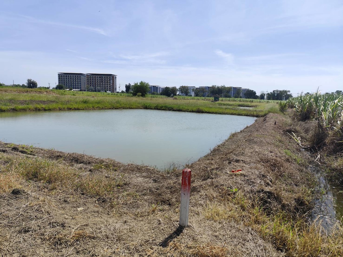 sale-large-land-93-rais-suitable-for-projects-can-be-subdivided-kamphaeng-saen-nakhon-pathom-ขายที