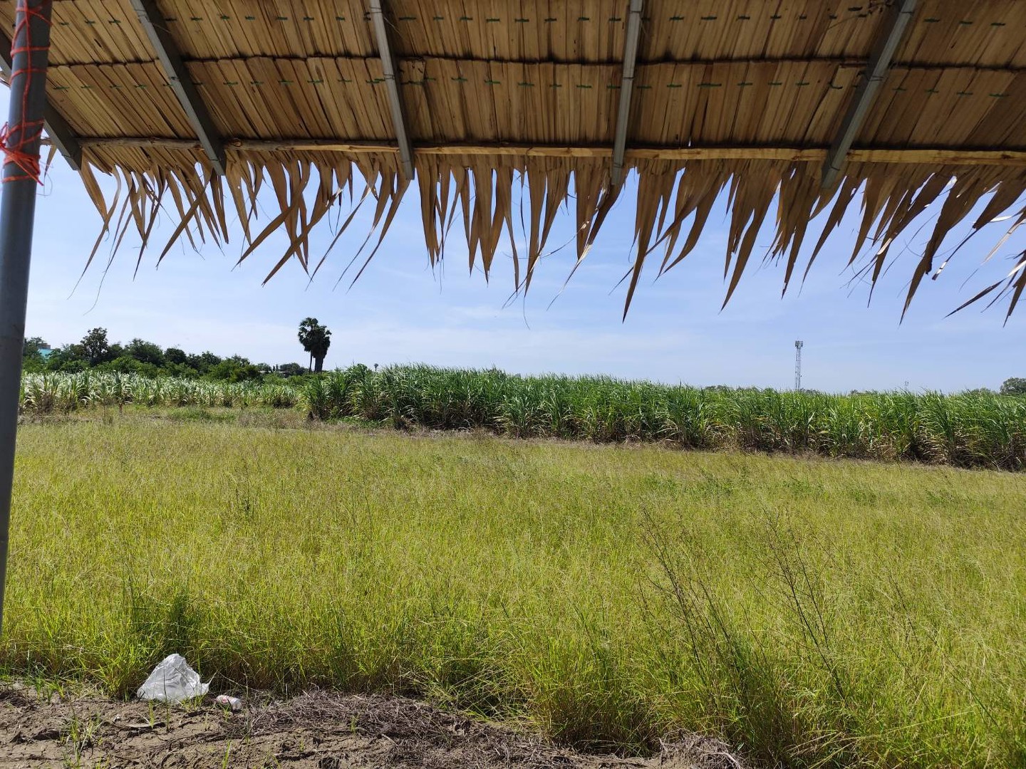 sale-large-land-93-rais-suitable-for-projects-can-be-subdivided-kamphaeng-saen-nakhon-pathom-ขายที