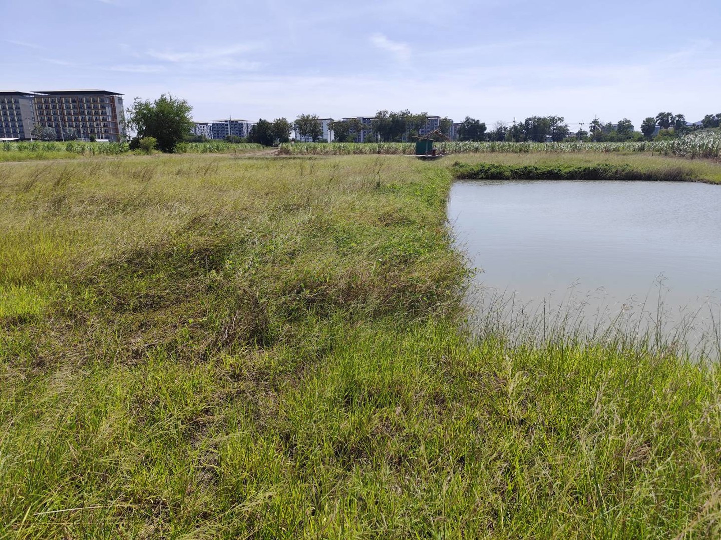 sale-large-land-93-rais-suitable-for-projects-can-be-subdivided-kamphaeng-saen-nakhon-pathom-ขายที