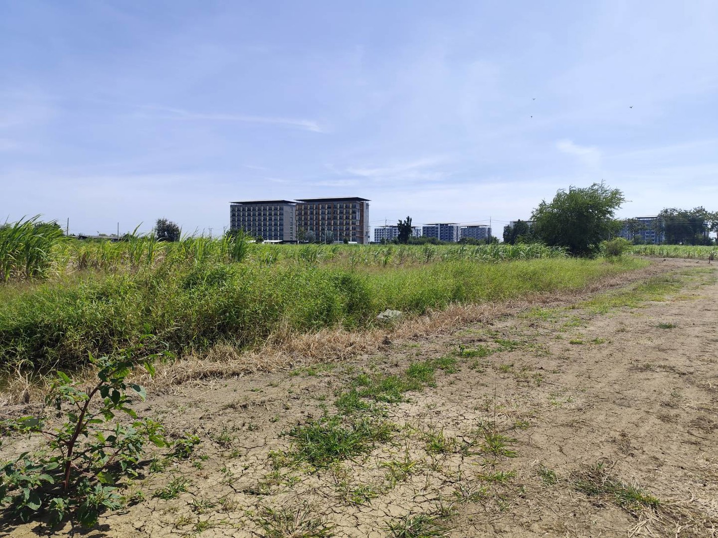 sale-large-land-93-rais-suitable-for-projects-can-be-subdivided-kamphaeng-saen-nakhon-pathom-ขายที