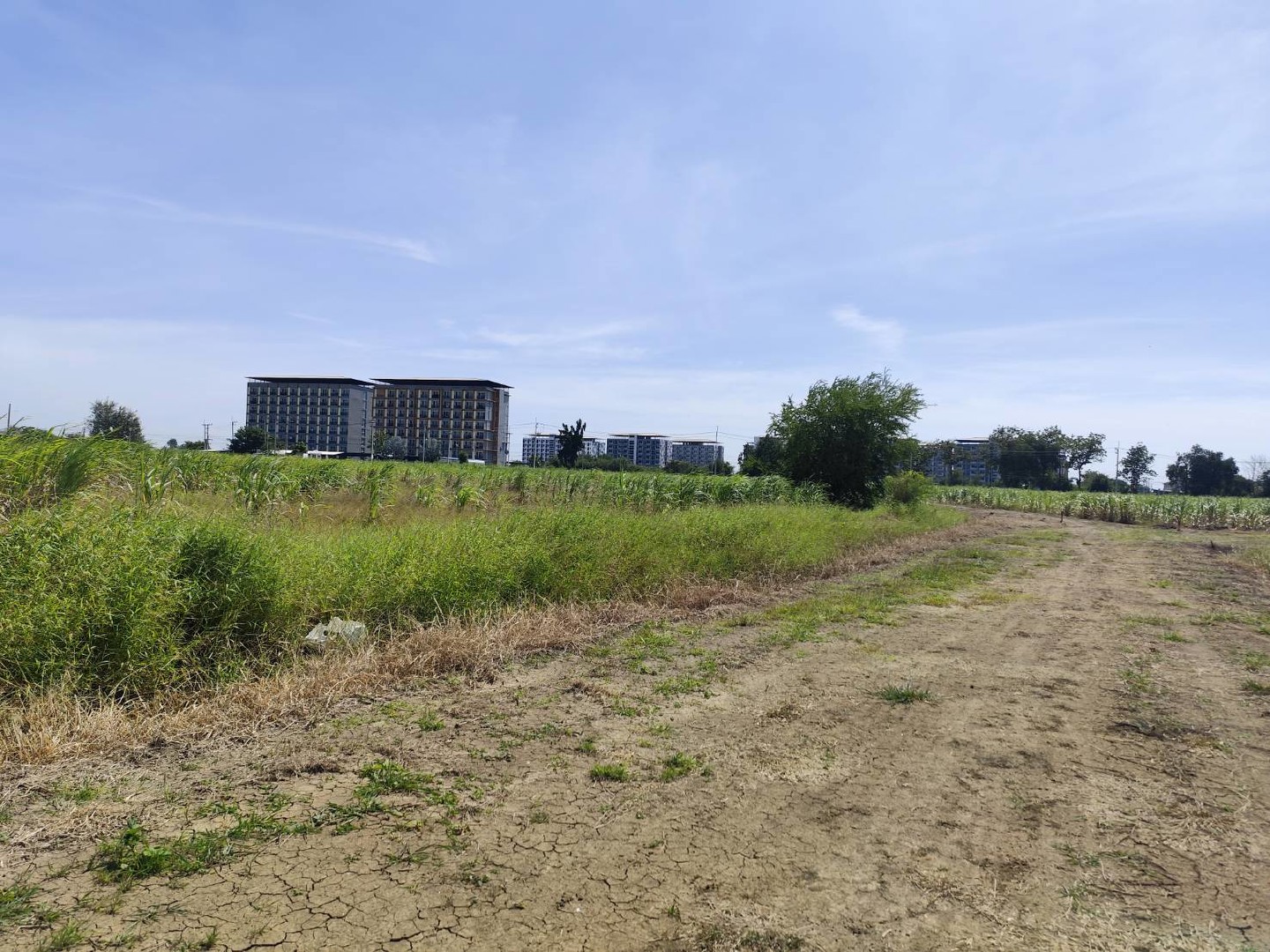 ขายที่ดินแปลง-5-ไร่-หรือ-9-ไร่-3-งาน-หรือ-แบ่งขายได้-200-ตรว-ขึ้นไป-กำแพงแสน-นครปฐม-โฉนดพร้อมโอน