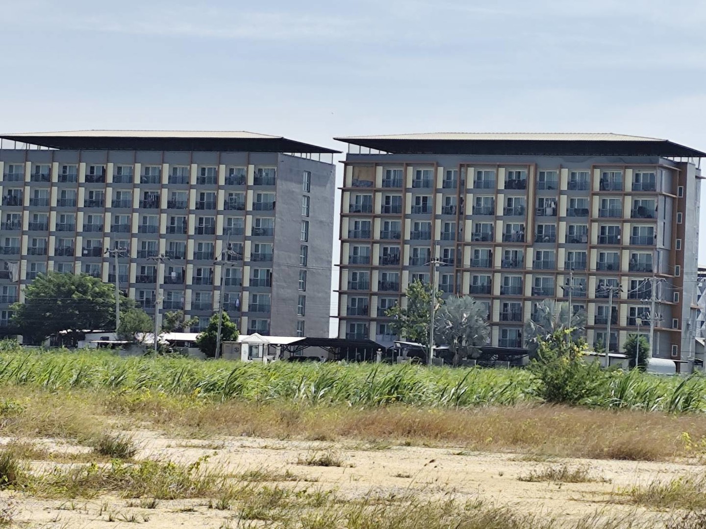 ขายที่ดินแปลง-5-ไร่-หรือ-9-ไร่-3-งาน-หรือ-แบ่งขายได้-200-ตรว-ขึ้นไป-กำแพงแสน-นครปฐม-โฉนดพร้อมโอน