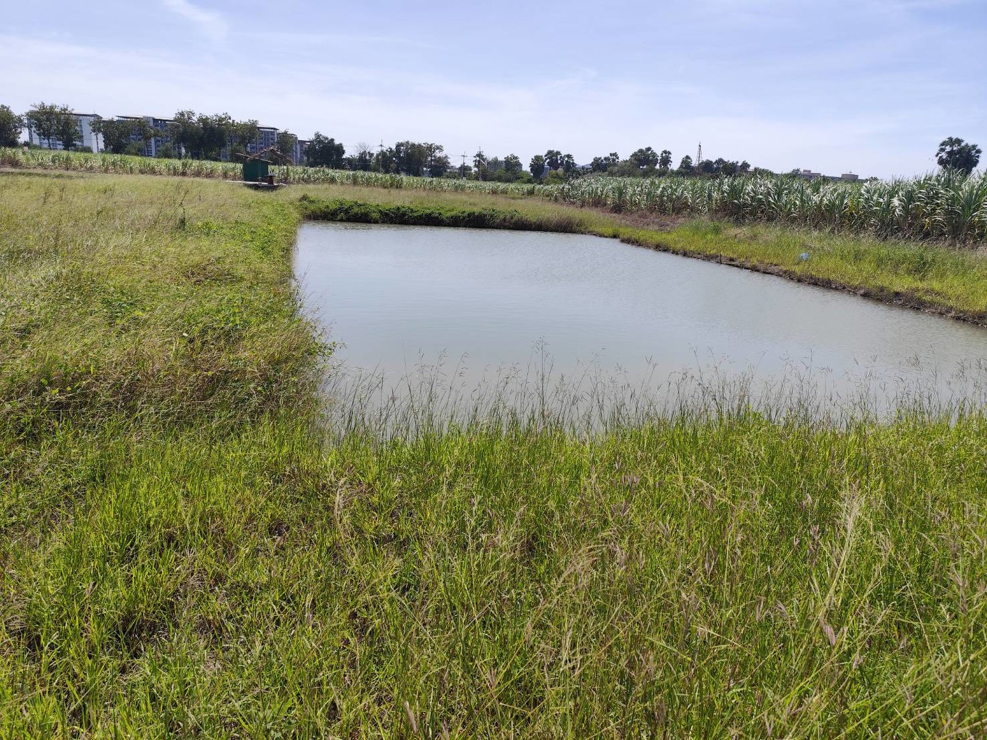 ขายที่ดินแปลง-5-ไร่-หรือ-9-ไร่-3-งาน-หรือ-แบ่งขายได้-200-ตรว-ขึ้นไป-กำแพงแสน-นครปฐม-โฉนดพร้อมโอน