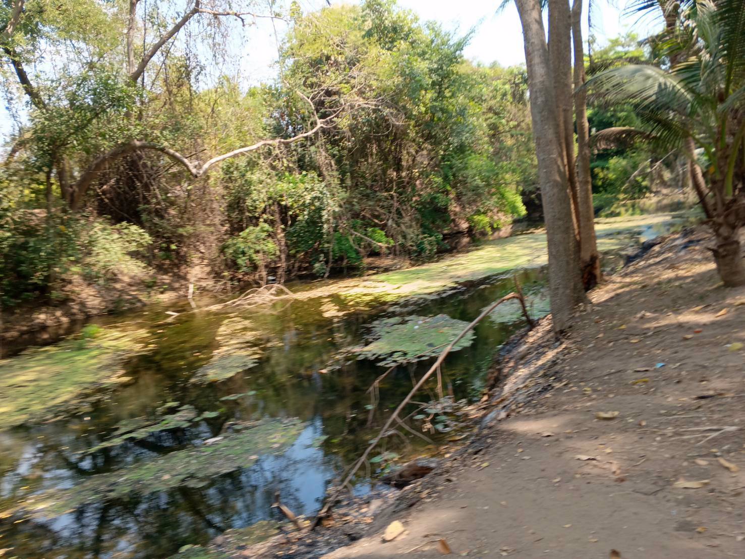 ขายที่ดิน-ทำเลหัวมังกรทองท้องเก็บทรัพย์หางนำโชค